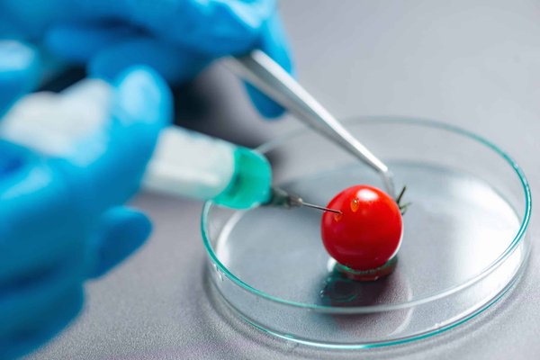 Qual è il modo più sicuro per modificare il sistema di scarico in un'auto senza compromettere la garanzia?